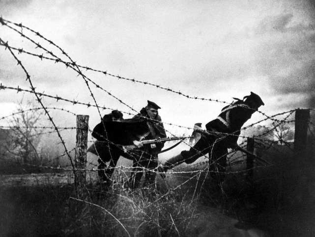  博洛尼亚铁闸重伤休战，意甲最稳防线出现裂痕  